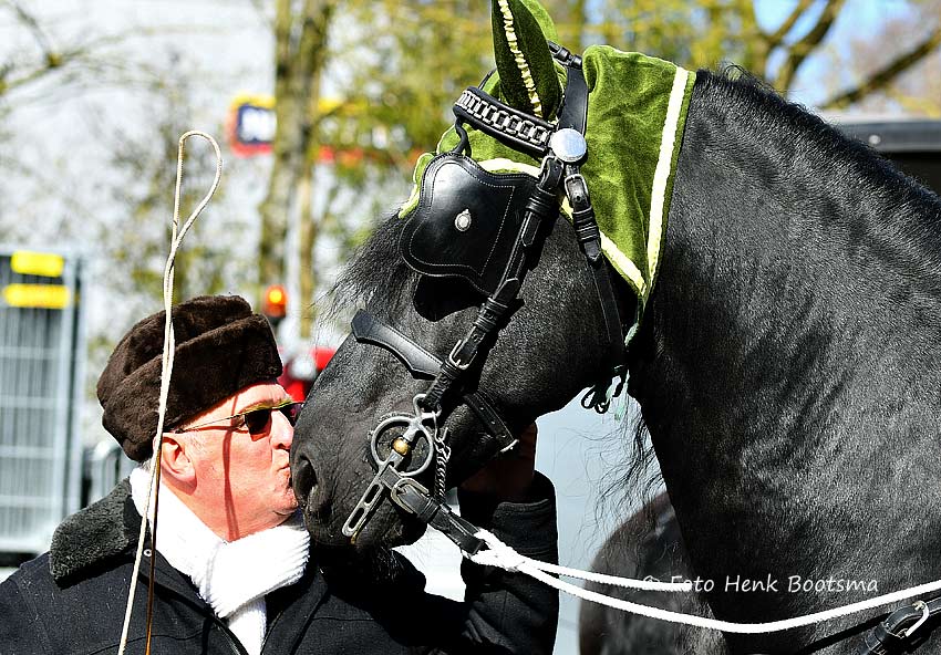 Studbook stallion Michiel 442 Sport Elite AA died