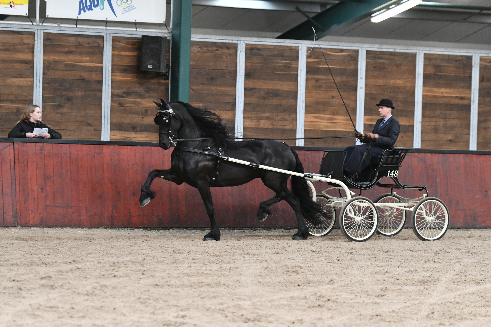 Phenomenon Yersie C. (Hessel 480) earned third triple A ranking with 93 points for the IBOP harness test