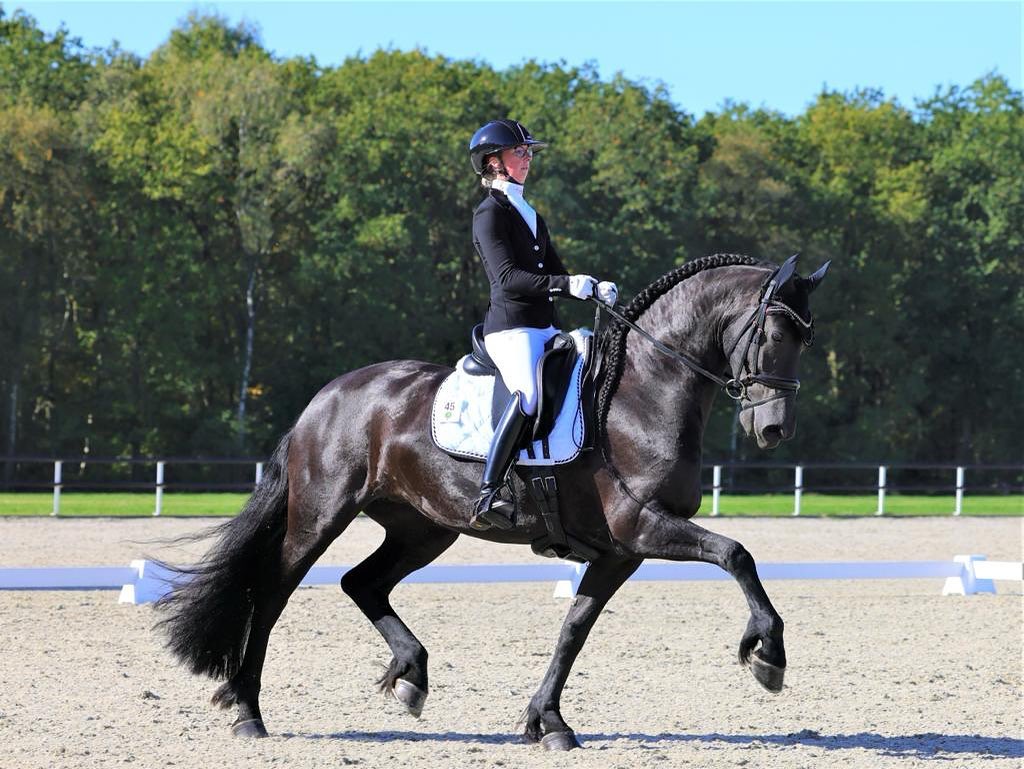 Ammerzoden Dressage Competition: towards a place in the final
